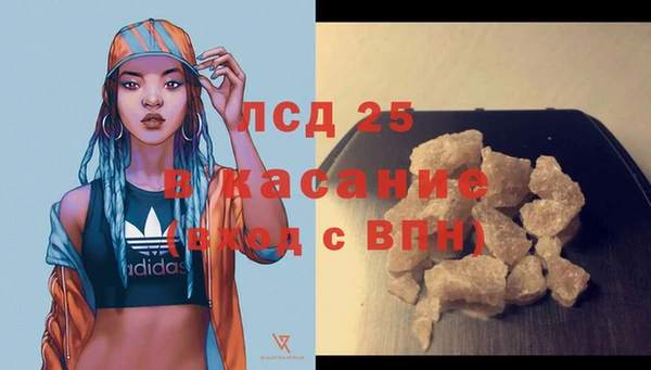 крисы Аркадак